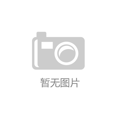 王传福详细资料